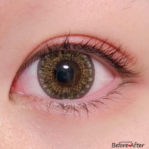 RICH STANDARD RichBeige 日拋10片裝